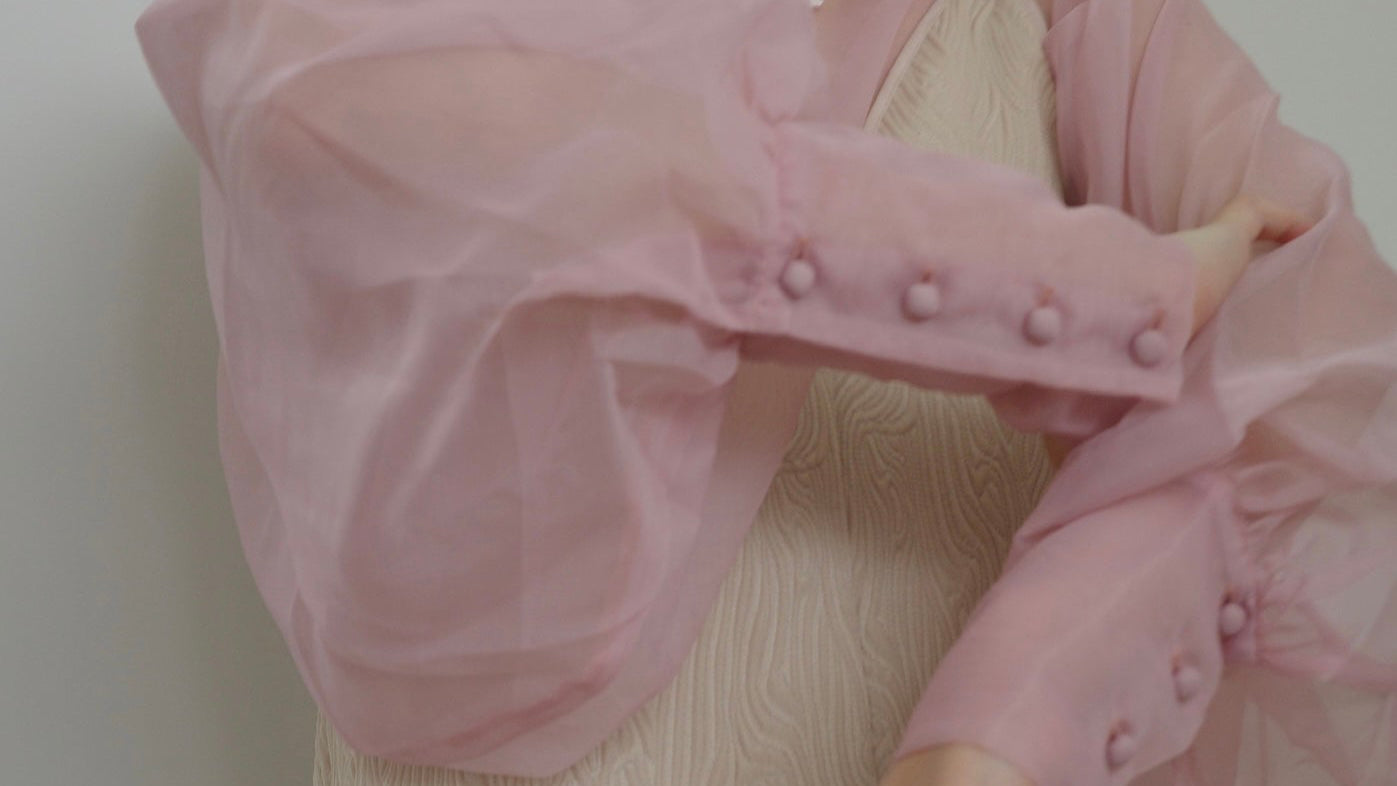 puff sleeve sheer blouse