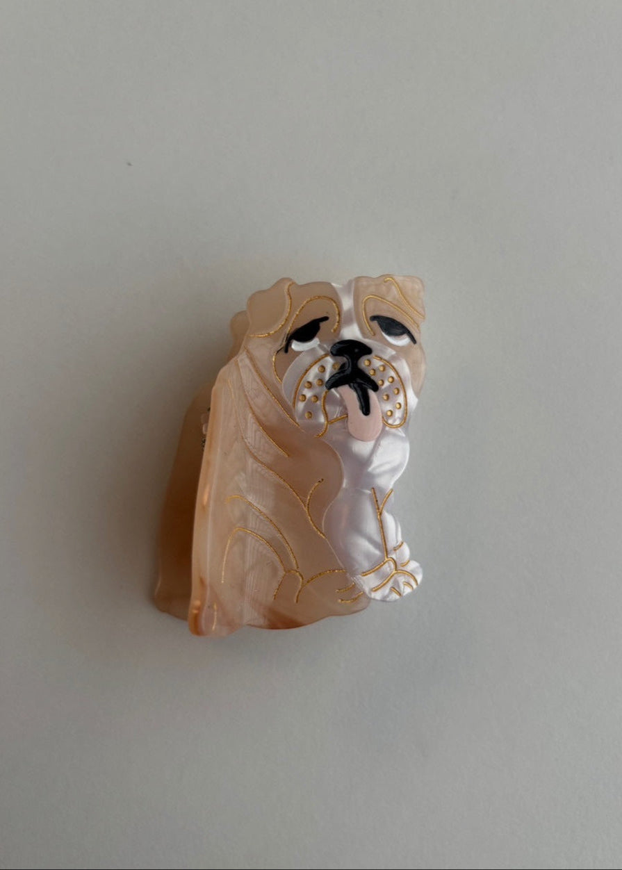 dog hair clip